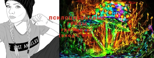 молекула духа Абинск