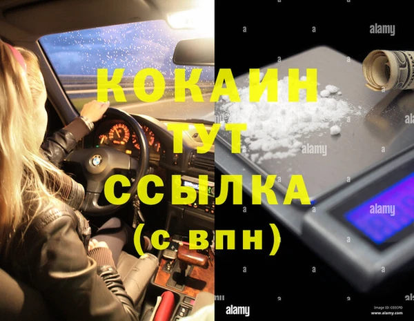 спайс Алексин