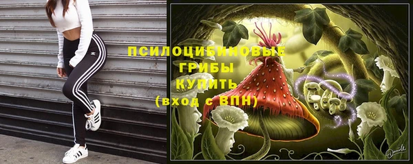 спайс Алексин