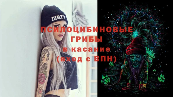 спайс Алексин